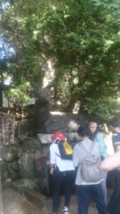 春日大社 式年選宮 1