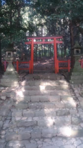 春日大社 式年選宮 7