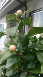 願い事を叶えたり、幸せになるために必要なもの